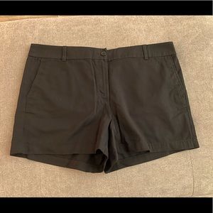 NWT Loft Outlet short size 16